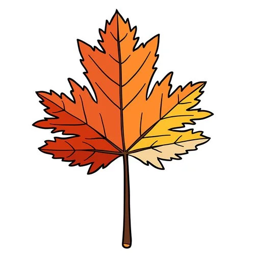 Цветной вариант раскраски один кленовый лист