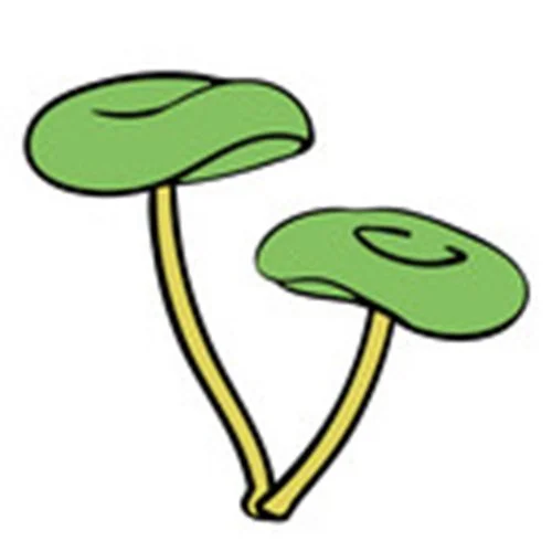 Цветной вариант раскраски опёнок съедобный гриб