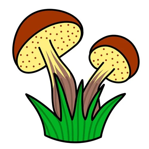 Цветной вариант раскраски опята грибы в лесу