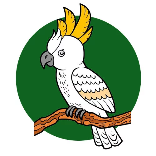 Цветной вариант раскраски попугай на жердочке