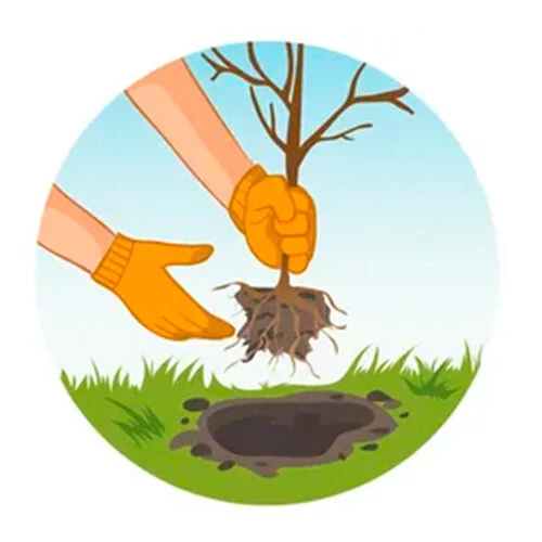 Цветной вариант раскраски посадка деревьев экология