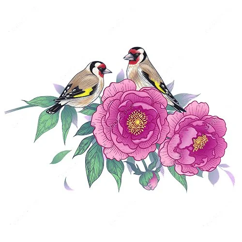 Цветной вариант раскраски птички на розах