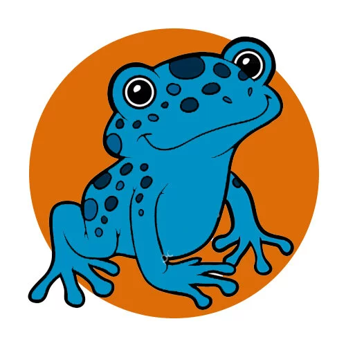 Цветной вариант раскраски пупырчатая лягушка