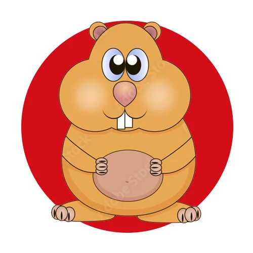 Цветной вариант раскраски пузатый хомяк