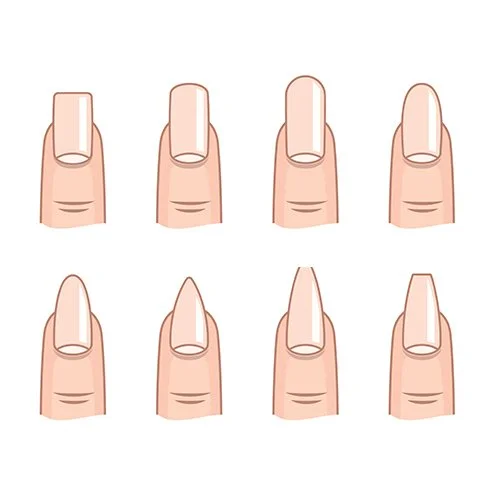 Цветной вариант раскраски разная форма ногтей