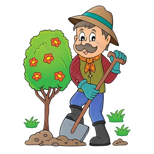 Цветной вариант раскраски садовод сажает дерево профессия