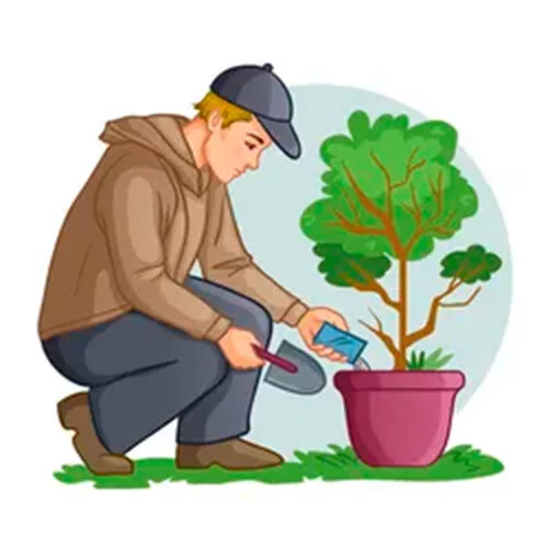 Цветной вариант раскраски сажай деревья экология