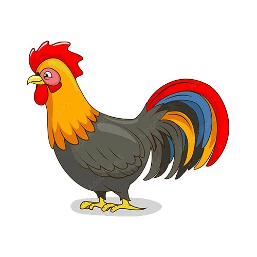 Цветной вариант раскраски серьезный петушок