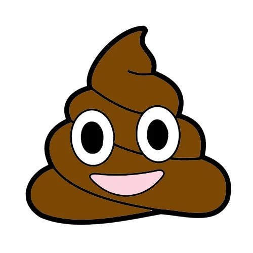 Цветной вариант раскраски смайлик какашка с глазами