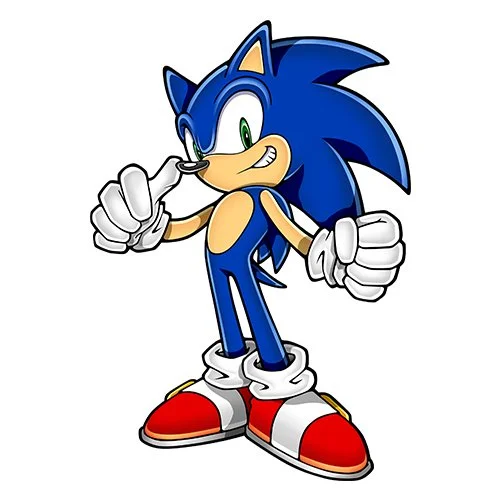 Цветной пример раскраски соник дружелюбный