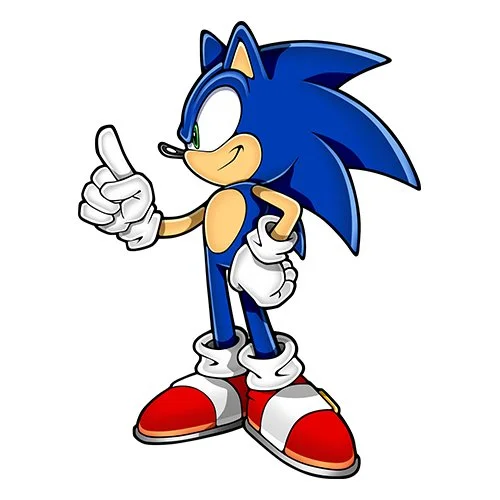 Цветной пример раскраски соник ругает