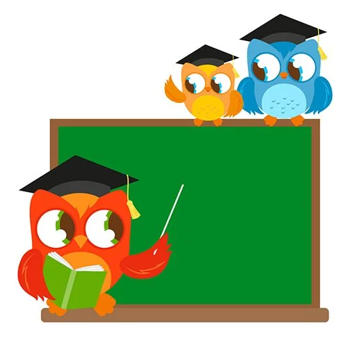 Цветной вариант раскраски сова учит совят