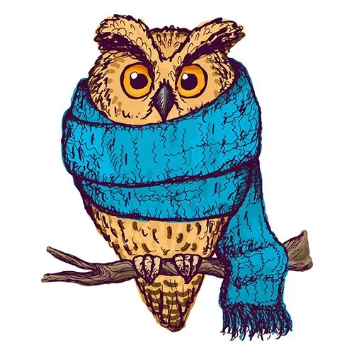 Цветной вариант раскраски сова в шарфе