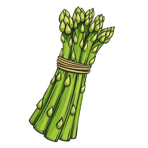 Цветной вариант раскраски спаржа