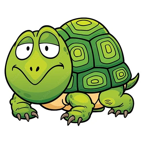 Цветной вариант раскраски старая мудрая черепаха