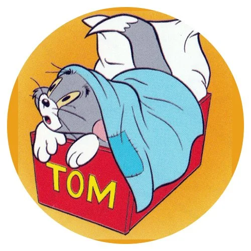 Цветной пример раскраски том спрятался