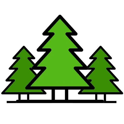 Цветной вариант раскраски три простых елки