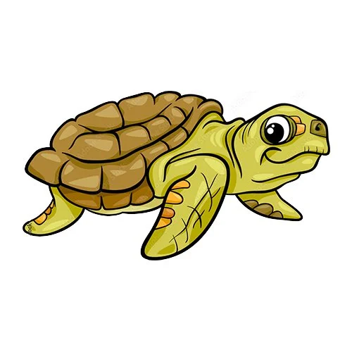 Цветной пример раскраски взрослая черепаха