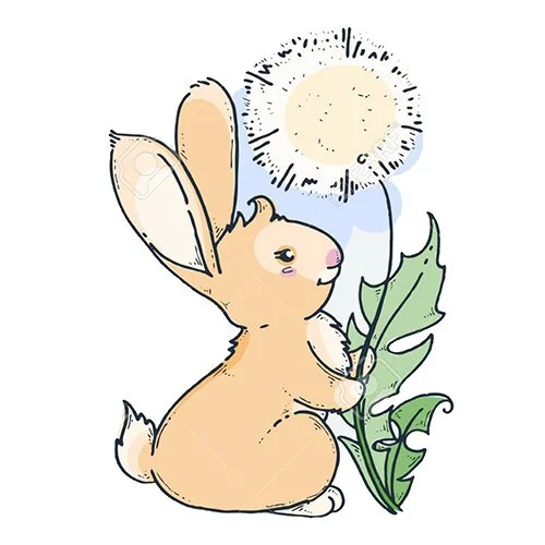 Цветной вариант раскраски зайчик и одуванчик