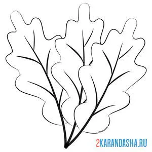 Раскраска дубовые листья осень онлайн