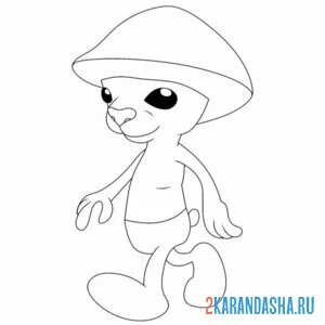 Раскраска шайлушай турист