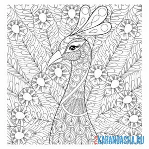 Раскраска антистресс павлин
