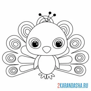 Раскраска павлин рисунок