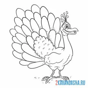 Раскраска смешной павлин