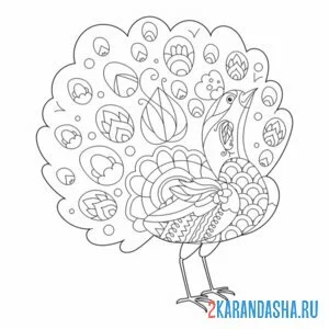 Раскраска необычный хвост павлина