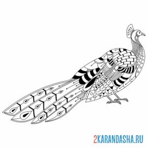 Раскраска павлин со сложенным хвостом