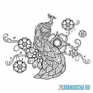 Раскраска павлин узоры