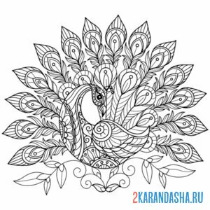 Раскраска антистресс хвост павлина