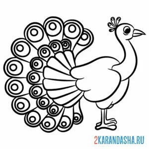 Раскраска павлин вид сбоку