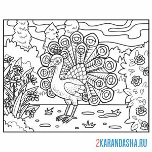 Раскраска павлин на прогулке