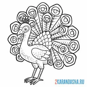 Раскраска павлин распустил хвост