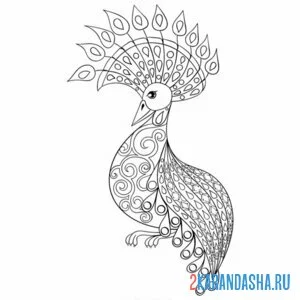 Раскраска павлин самка без хвоста