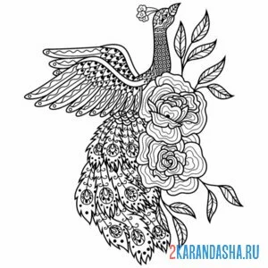 Раскраска павлин и розы
