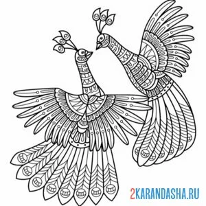 Раскраска антистресс два павлина