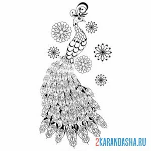 Раскраска павлин с большим хвостом антистресс