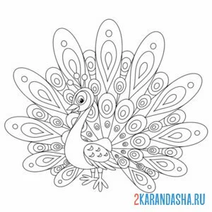 Раскраска павлин птица хвост
