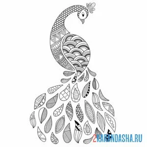 Раскраска павлин арт антистресс хвост