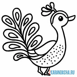Раскраска павлин птица для малышей