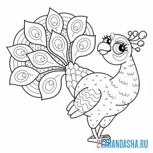 Раскраска павлин деловой