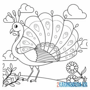 Раскраска павлин на природе