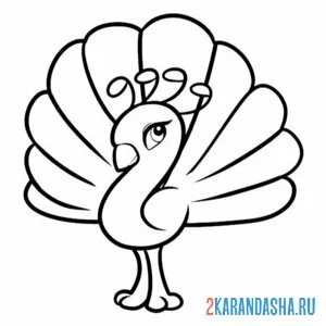 Раскраска павлин простая иллюстрация