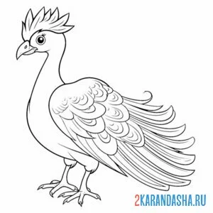 Раскраска павлин без хвоста