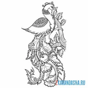 Раскраска павлин на ветке