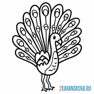 Раскраска павлин рисунок в детский сад