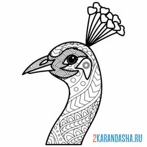 Раскраска голова павлина