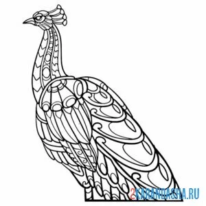 Раскраска павлин-антистресс